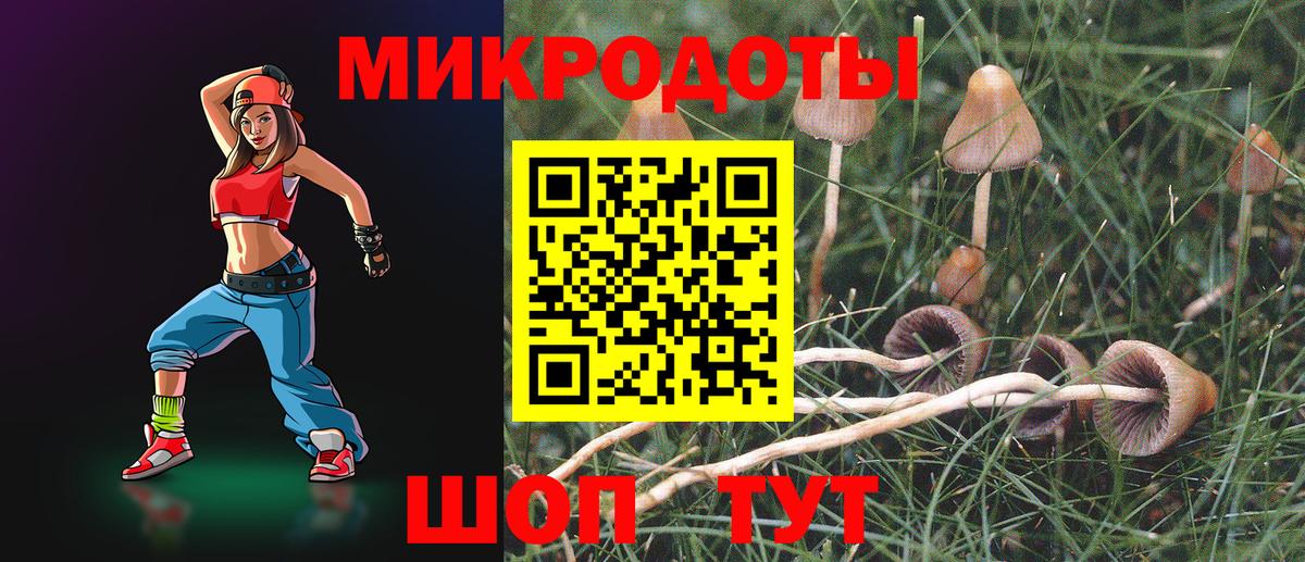 Псилоцибиновые грибы Psilocybe Алапаевск