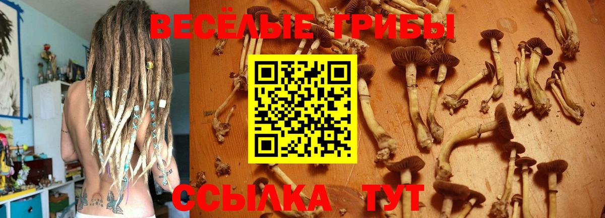 Галлюциногенные грибы мицелий  где купить наркоту  Алапаевск  Вход с VPN 